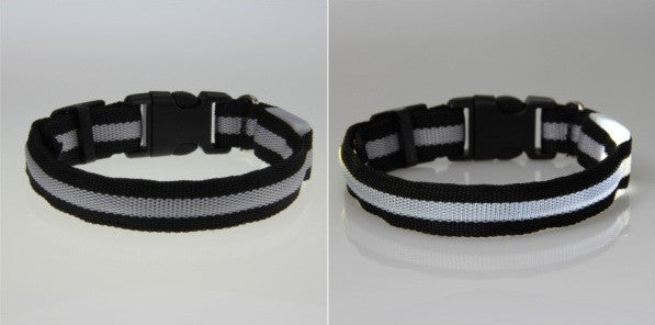 LED Nylon Night Safety Dog Collar - Battery Operated