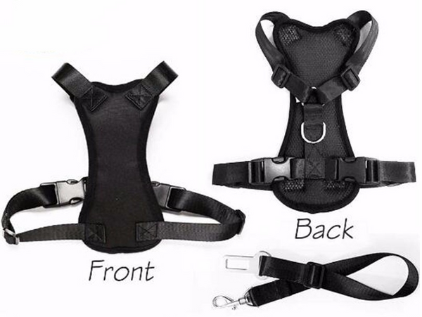 PupBodyGuard™ Seatbelt and Harness- FREE Shipping!