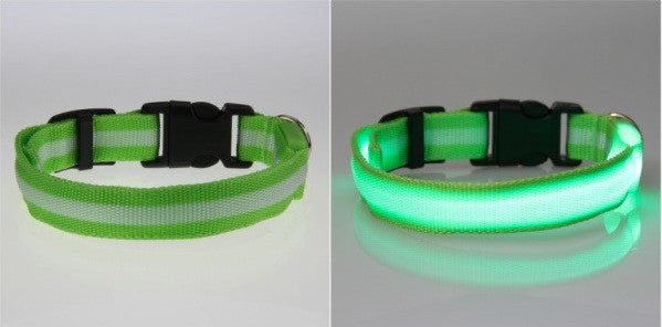 LED Nylon Night Safety Dog Collar - Battery Operated