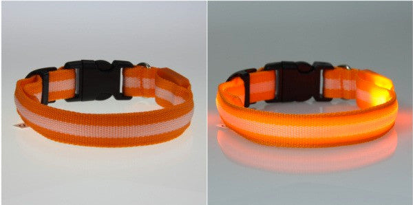 LED Nylon Night Safety Dog Collar - Battery Operated