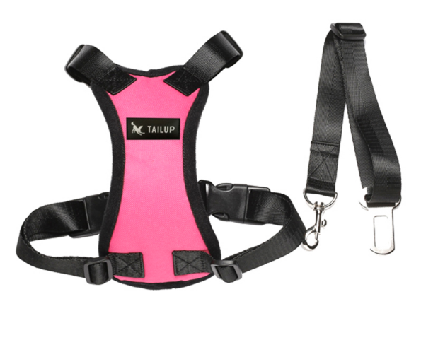 PupBodyGuard™ Seatbelt and Harness- FREE Shipping!