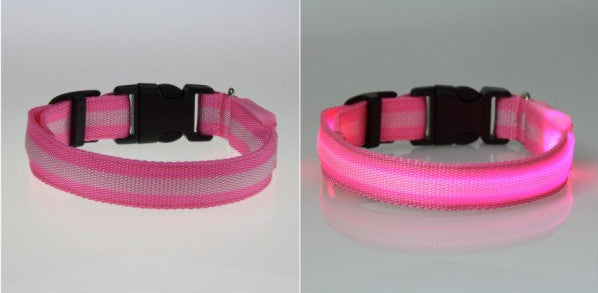 LED Nylon Night Safety Dog Collar - Battery Operated