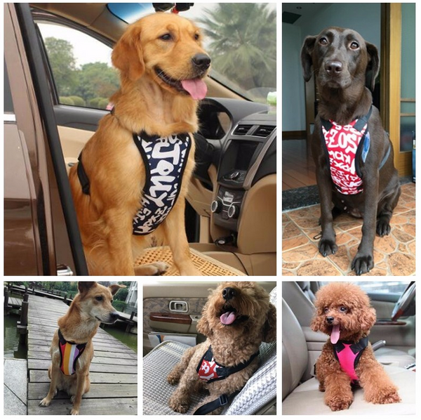 PupBodyGuard™ Seatbelt and Harness- FREE Shipping!